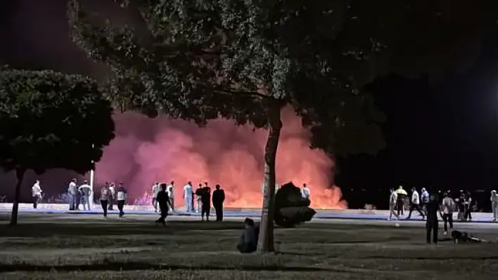 Beyşehir Gölü kenarında çıkan yangın paniğe neden oldu