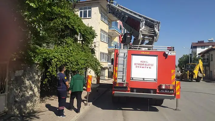 Beyşehir itfaiyesi kedi için seferber oldu