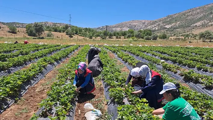 Bozkır'da kadın üreticiler ziyaret edildi