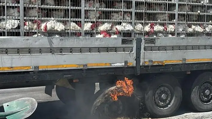 Karapınar'da tavuk dolu tırda yangın paniği yaşandı