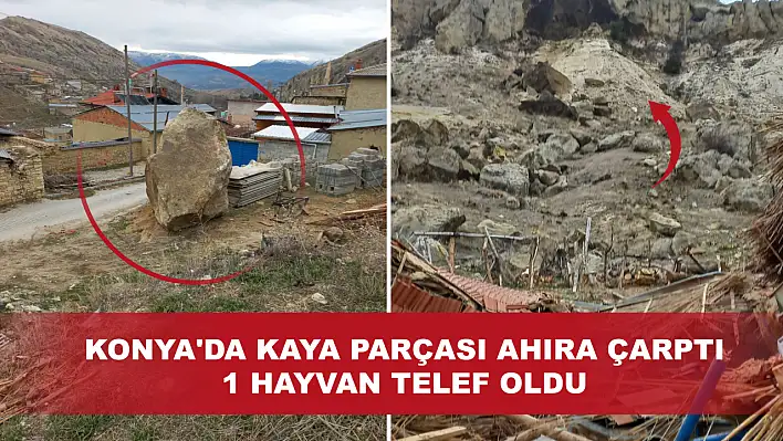 Konya'da dağdan kopan kaya Ahıra Çarptı: 1 Hayvan Telef Oldu