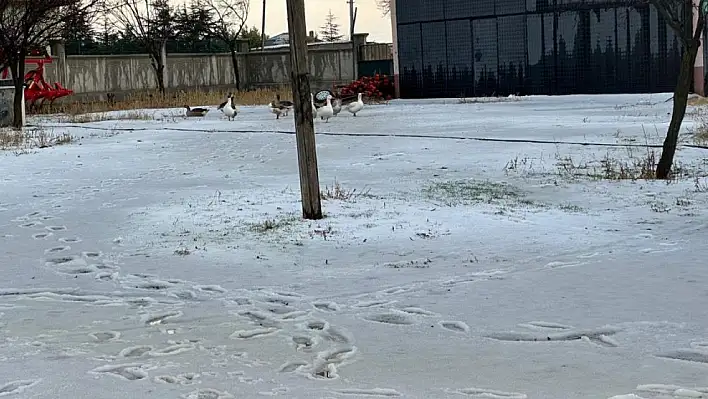 Konya'da dolu yağışı etkili oldu, mahalle adeta kar yağmış gibi beyaza büründü