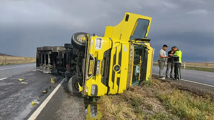 Konya'da tır devrildi: 29 angus cinsi büyükbaş hayvan kayboldu