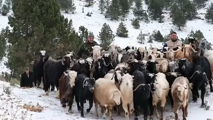 Konya'da yoğun kar yağışından dolayı yaylalarında mahsur kalan besiciler yol açılarak kurtarıldı