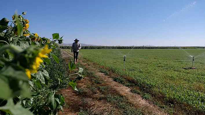 Konya Ovası'nda suya ulaşmak için 450 metre sondaj yapılıyor