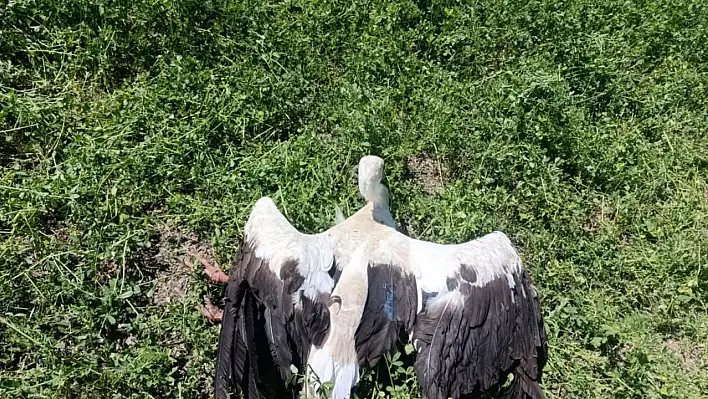 Konyalı çiftçiden vefa örneği!