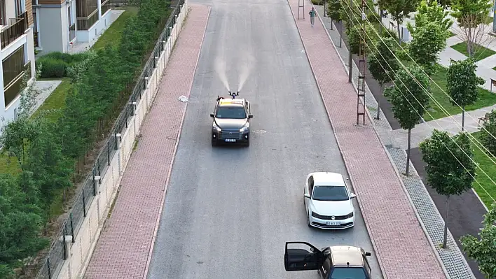 Kurban Bayramı Öncesi İlaçlama Seferberliği
