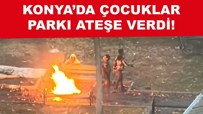 Parklarda Kameriye Vandalizmi: Tepkiler Büyüyor!