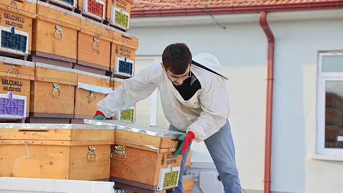 Selçuklu Belediyesi, arıcılıkta yeni bir çağ başlattı: 82 üreticiye 410 kovan desteği!