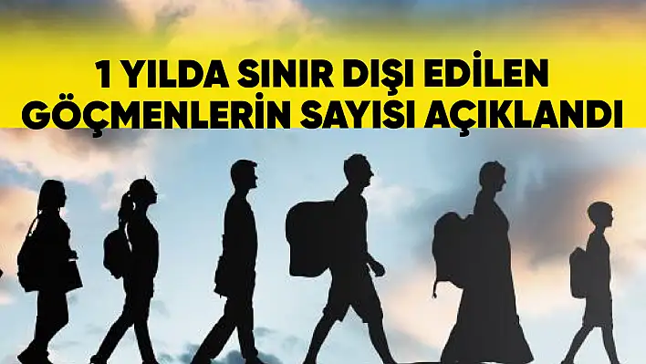 Sınır dışı edilen düzensiz göçmenlerin sayısı açıklandı