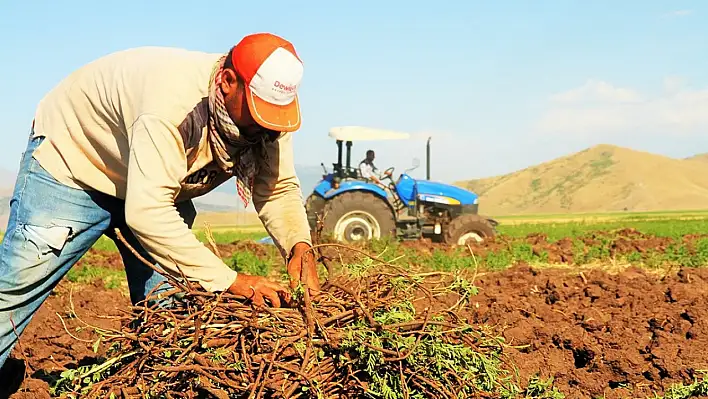 Tarımsal destekleme bütçesi 91,55 milyar liraya çıkarılıyor: Bakan Yumaklı açıkladı