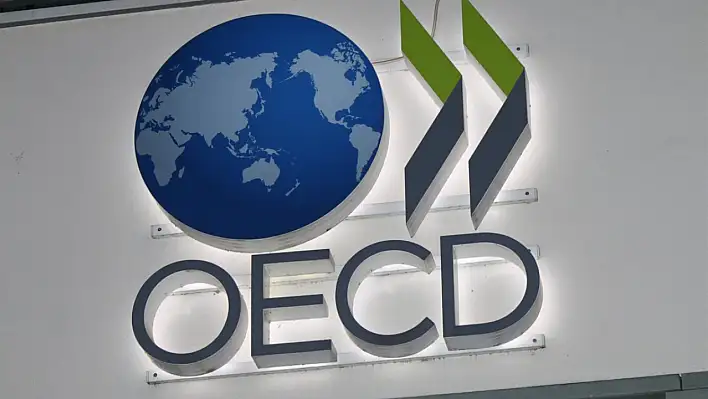 Türkiye'nin sağlık durumu OECD raporunda: İyi ve kötü haberler