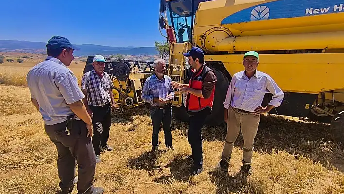 Yalıhüyük'te Tarlalar Mercek Altında: Ekipler Hasadı İnceliyor
