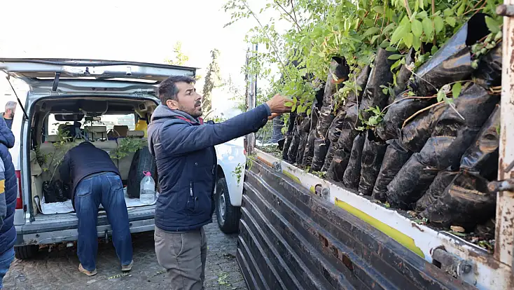 Konya Büyükşehir Belediyesi'nden Çiftçilere Sumak Fidanı Desteği.