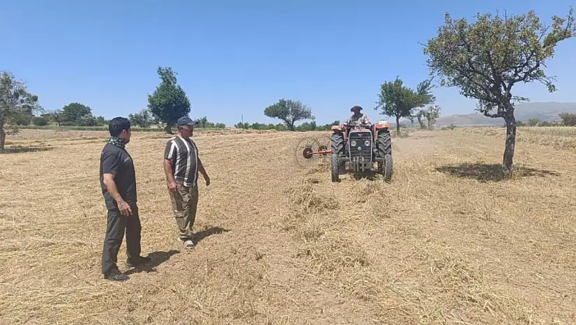 Beyşehir'de hibe destekli ekilen yem bitkilerinde hasat devam ediyor