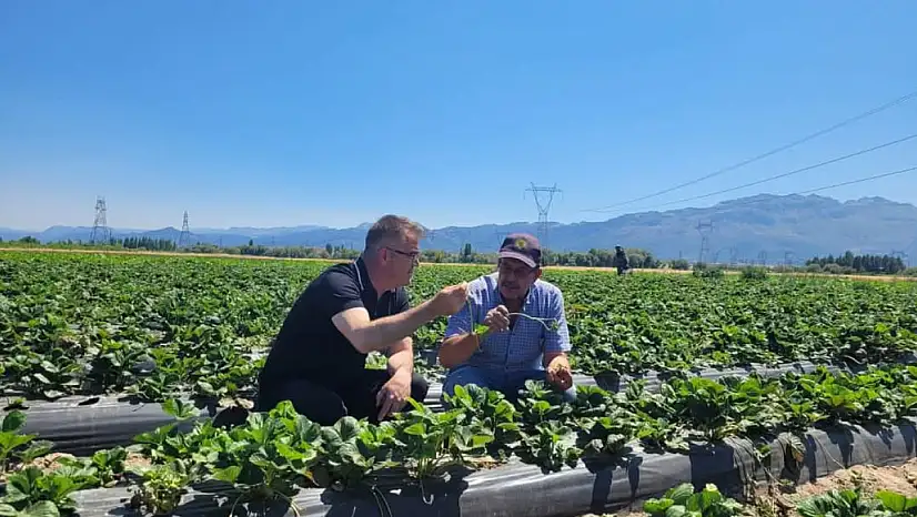 Seydişehir Çileği Tescillendi