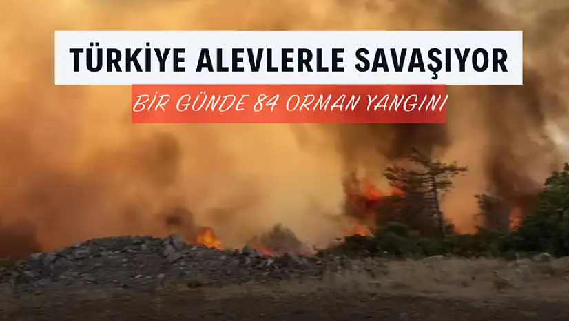 Türkiye'de Kara Gün: Bir Günde 84 Orman Yangını Çıktı
