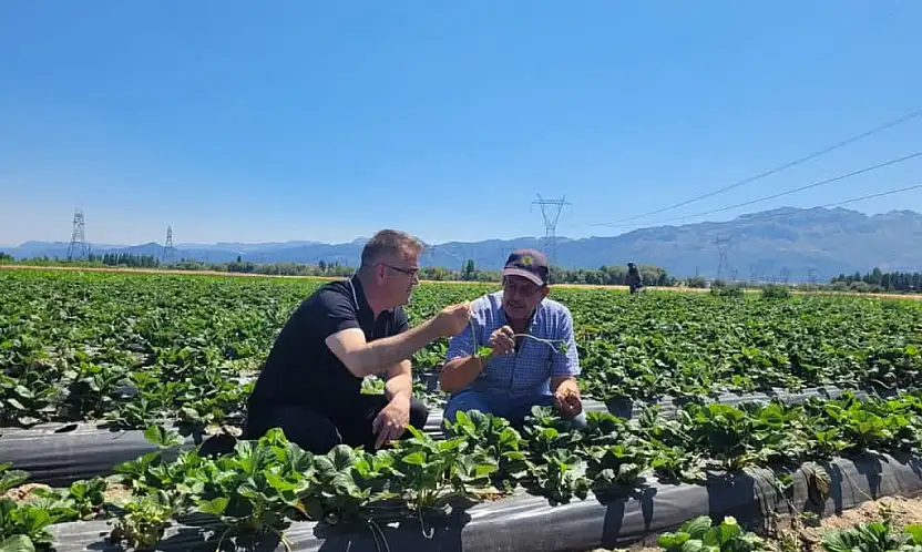 Seydişehir Çileği Tescillendi