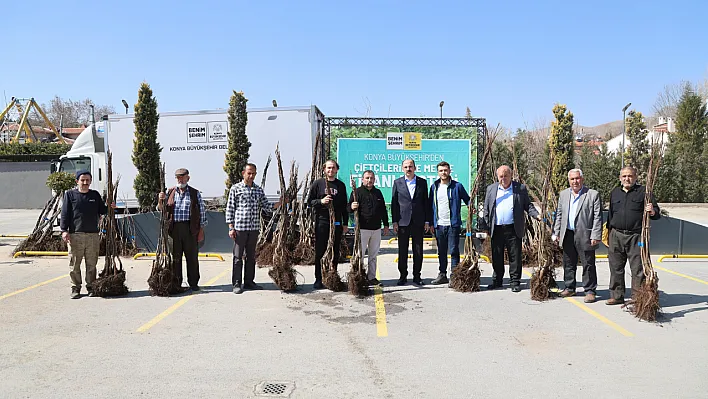 Konya çiftçilerine hibe desteği: 500 bin fidan, yüzde 50 hibe ile dağıtıldı!