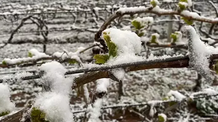 Meteoroloji, Konya ve çevresini uyardı: Zirai don riski kapıda!